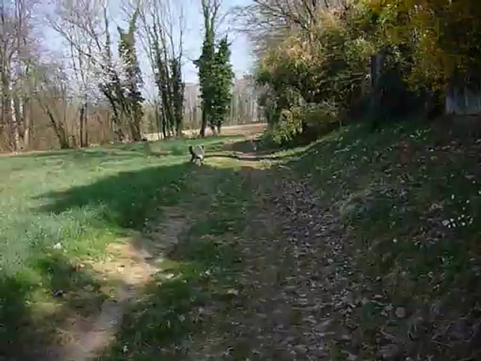 P1010389