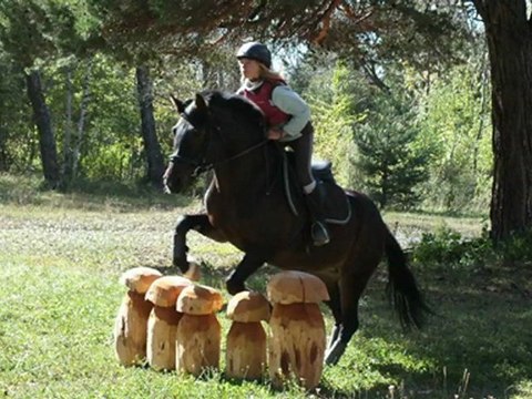 pour toi kim ma jument