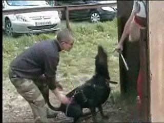 fatale beauty vom heckendorf entr defense certificat