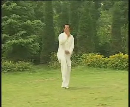 Taiji Style Chen : La Pao Chui executée par Wang Xian