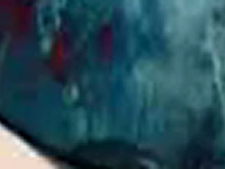 Easy Backup Wizard Scam