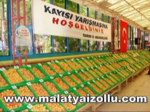 Dünyanın en iyi kayısıları Malatya İzollu Kalede