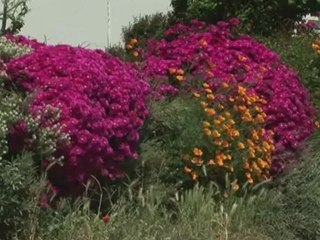 BRETAGNE - DELCOURT - Bande-annonce VF