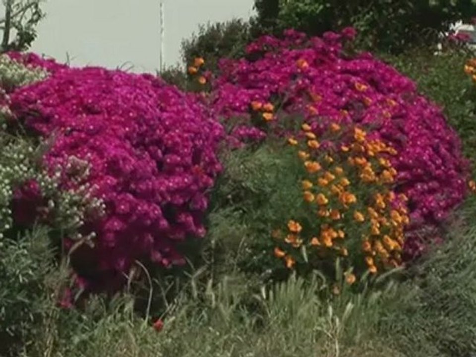 BRETAGNE - DELCOURT - Bande-annonce VF