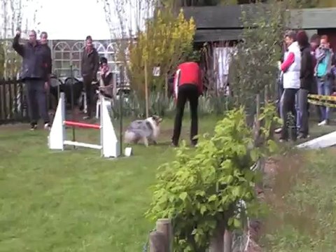 ESCAPE 1ER DEGRE cabochards 22042012