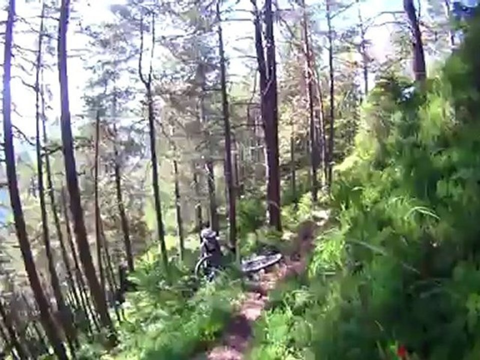 Comme des ours en Slovénie