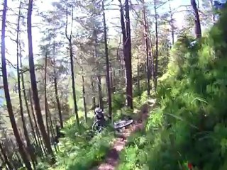 Comme des ours en Slovénie