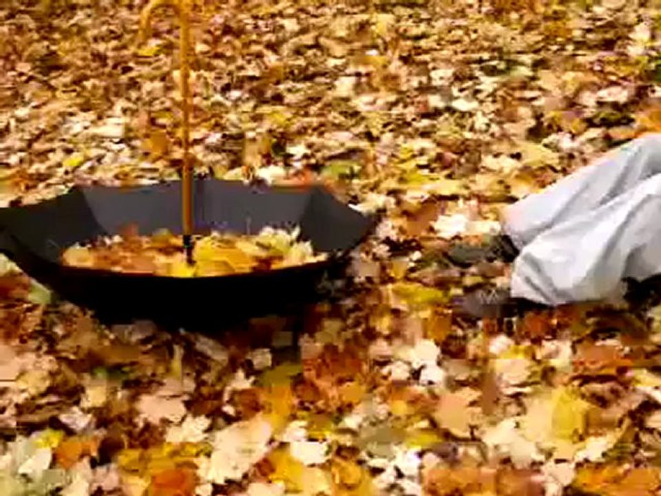 Zerrin  ÖZER    "KAR  TANESİ "