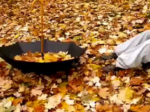 Zerrin ÖZER KAR TANESİ