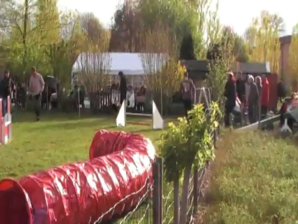 BOASTER JUMPING+ CABOCHARDS