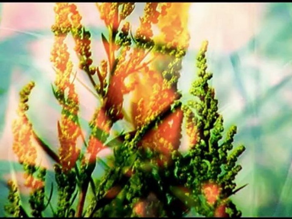 demo images lili - objet théâtral sonore et vidéo - I.R.E.A.L