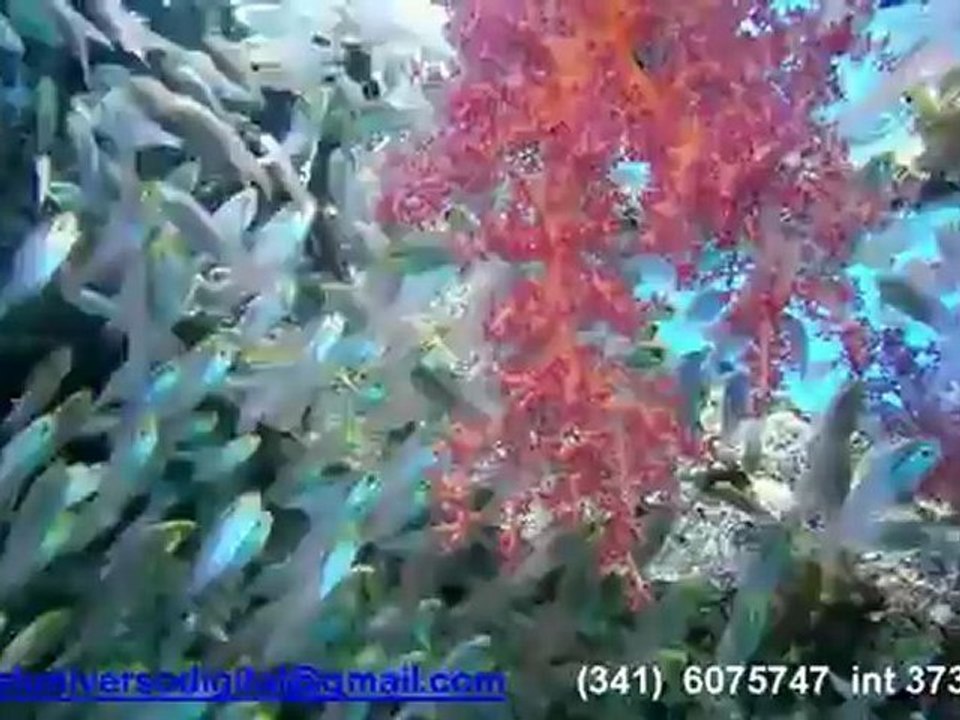 Nikon rosario,Nikon aw100,Camaras digitales Rosario,Nikon