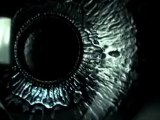 Opening Sequence - Clip Opening Sequence (English)
