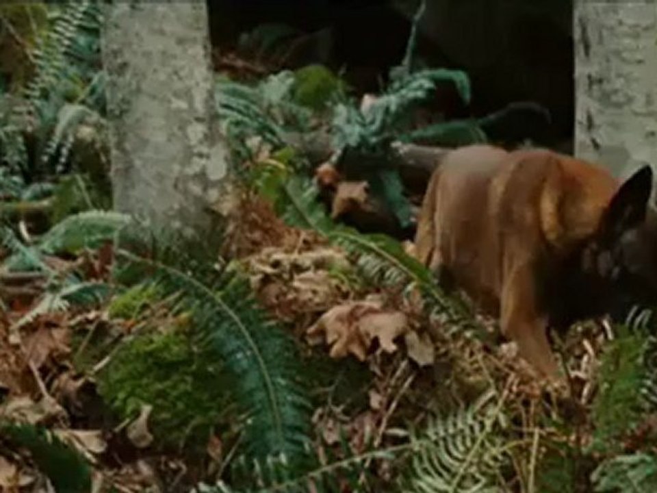 Wrecked (2010) - Clip Sharing