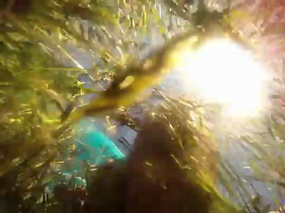 FootMovie Skyfast Propriano Corsica