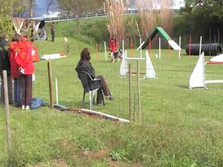 SWEET JUMPING CABOCHARDS