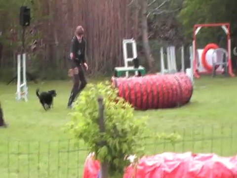 COCA JUMPING CABOCHARDS