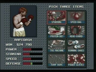 CGRundertow EVANDER HOLYFIELD'S REAL DEAL BOXING for Sega Genesis Video Game Review