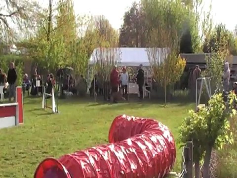 EVY JUMPING CABOCHARDS