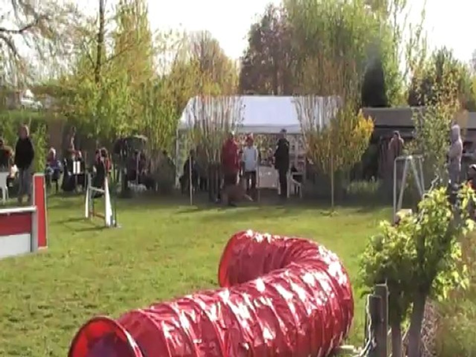 EVY JUMPING CABOCHARDS