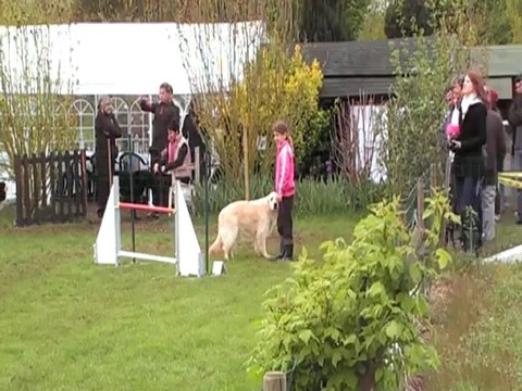 CERISE DEGRE CABOCHARDS