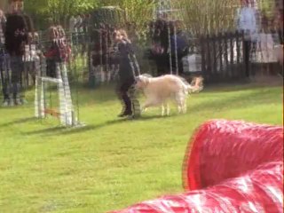 CERISE JUMPING CABOCHARDS
