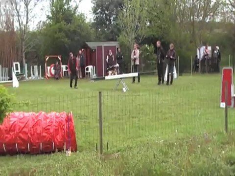 CHOUIA GPF CABOCHARDS