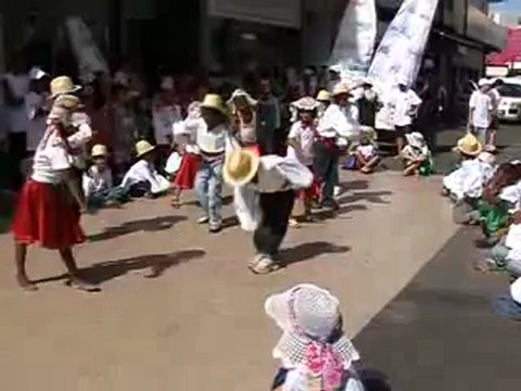 Un défilé haut en couleurs, le 3 décembre 2009