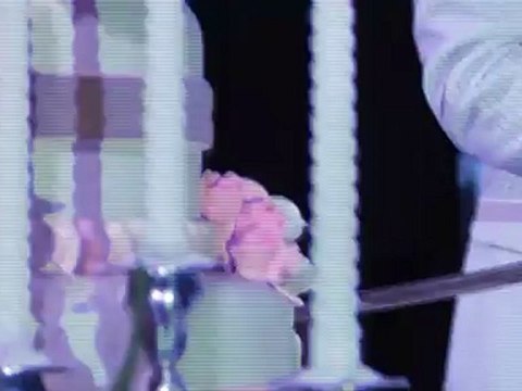 รับถ่ายวีดีโอ ราคาถูก โทร 081-069-5147