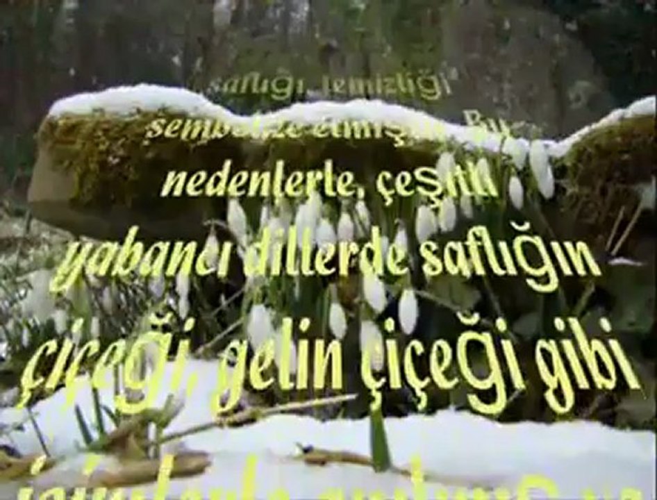 "Kardelen  çiçeğinin   hikayesi " Soner GENEL