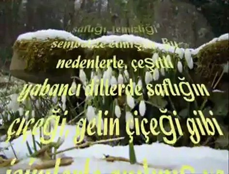 Kardelen çiçeğinin hikayesi Soner GENEL