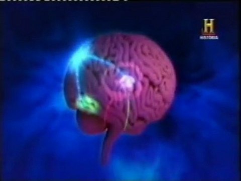 Neuroimagen con Dios: Meditacion vs. oracion (Andrew Newberg)