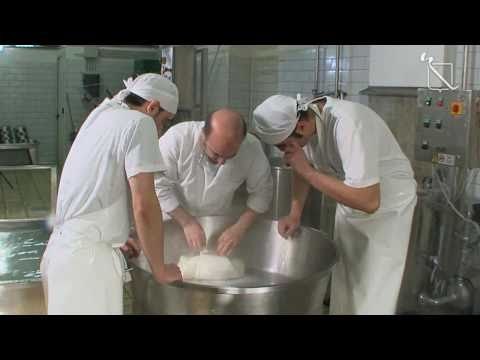 Campania - Le terre di don Peppe Diana