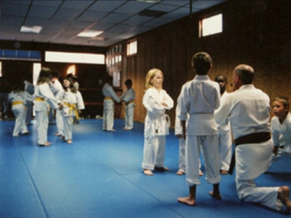 Karate Greenville SC (864) 270-2919