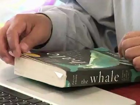 Caresser des baleines, un rêve sauvage en Basse-Californie