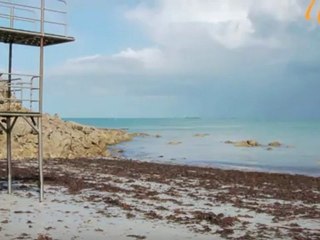 Villas et maisons à louer à Roscoff