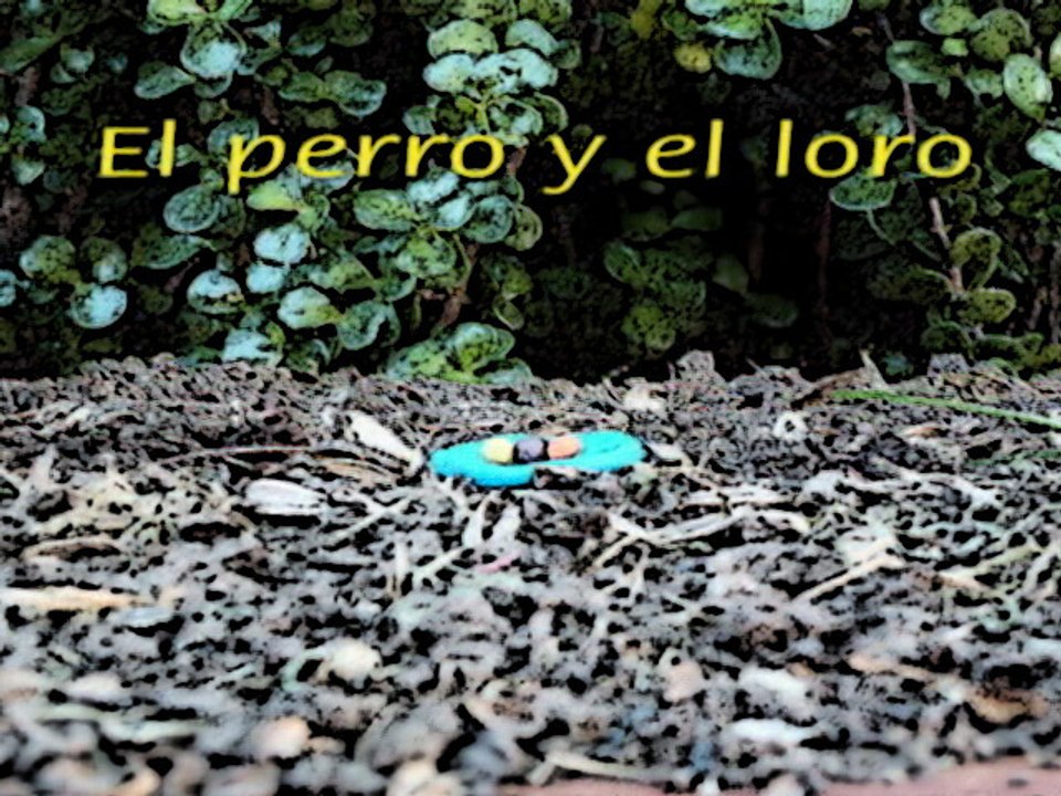 El perro y el loro