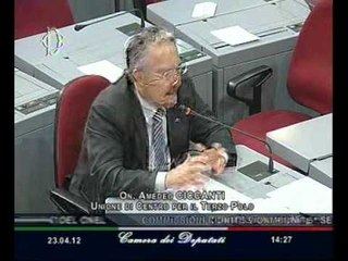 Roma - Audizione rappresentanti del Cnel (23.04.12)