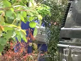 un dramma nato dalla gelosia