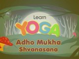 Adho Mukha Shvanasana - Yoga