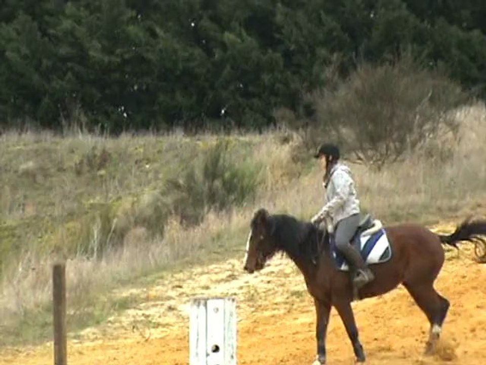 Quara (5)