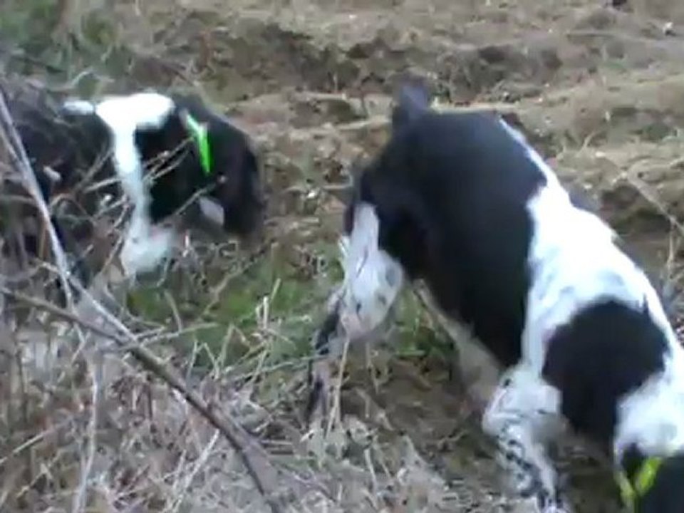 comete+romy_perdreau1