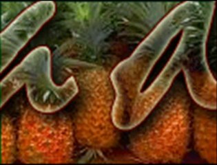 karadeniz yemekleri http://www.seslikaradeniz.com http://www.seslikaradeniz.biz