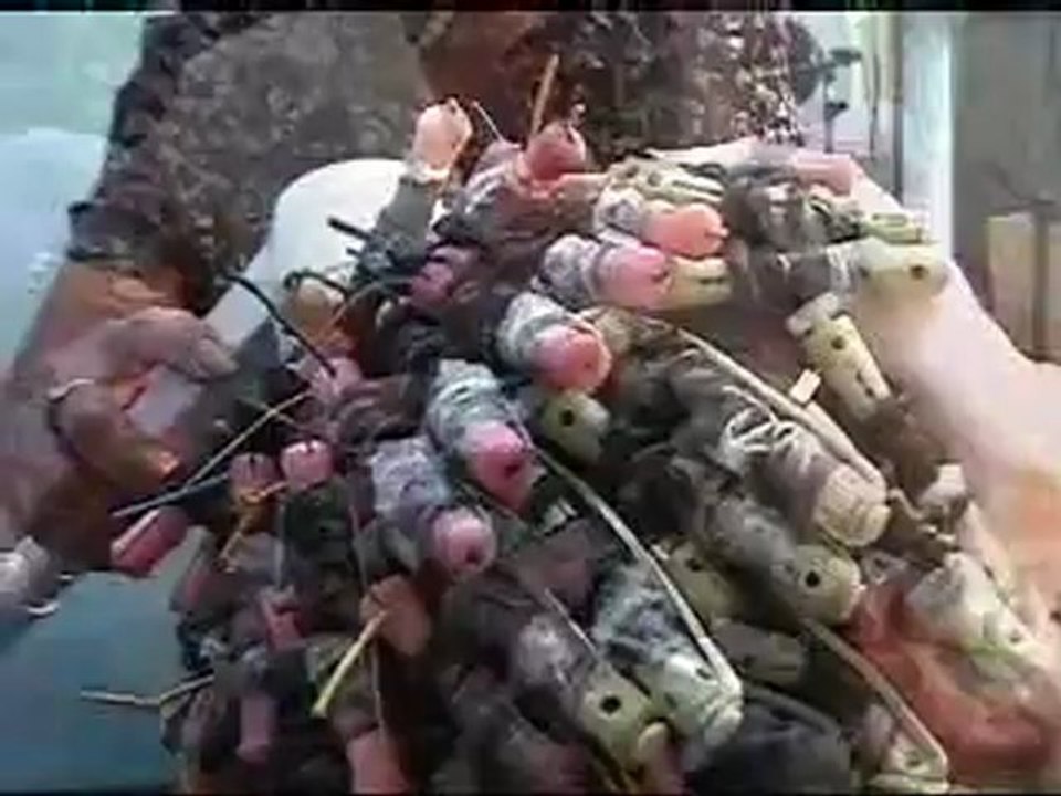 My first perm step 5