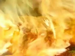 On Fire - Extrait On Fire (Anglais)