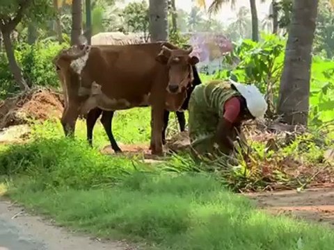 H&M Leads the way in Sustainable Efforts for Earth Day