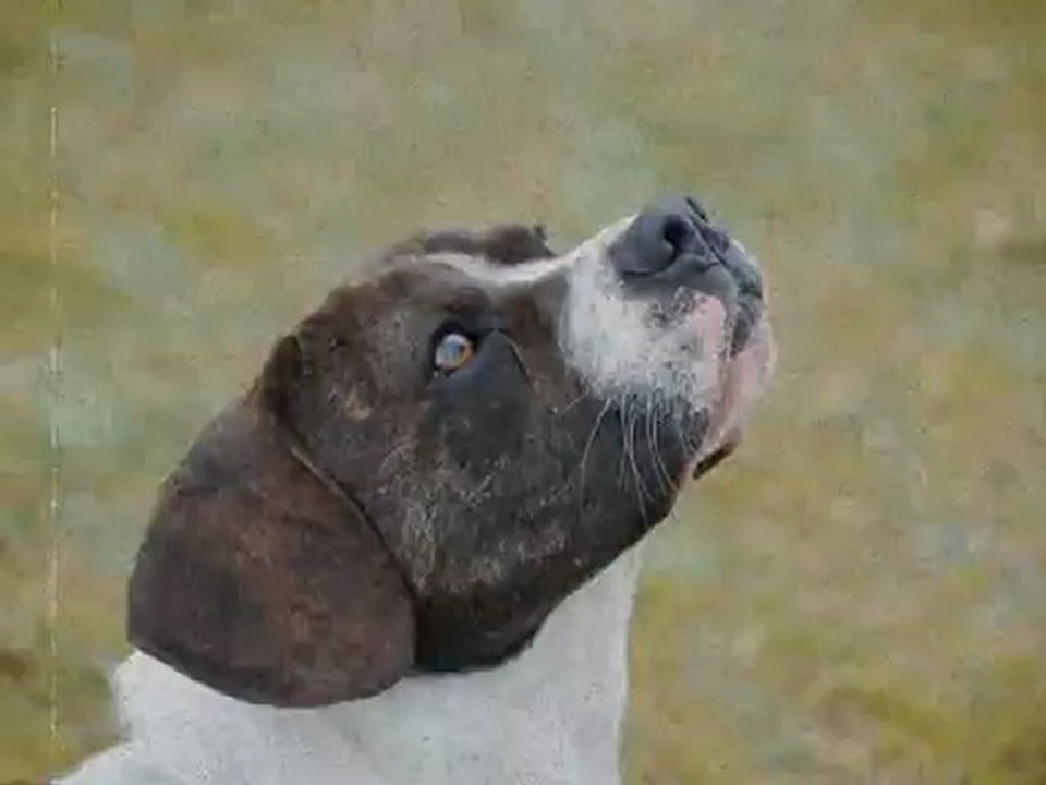 Cisco, 5ans...