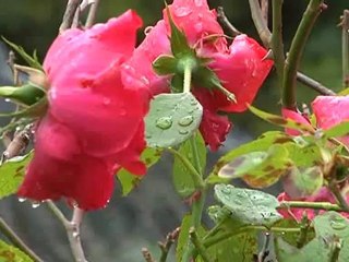 pioggia e neve sferzano la provincia