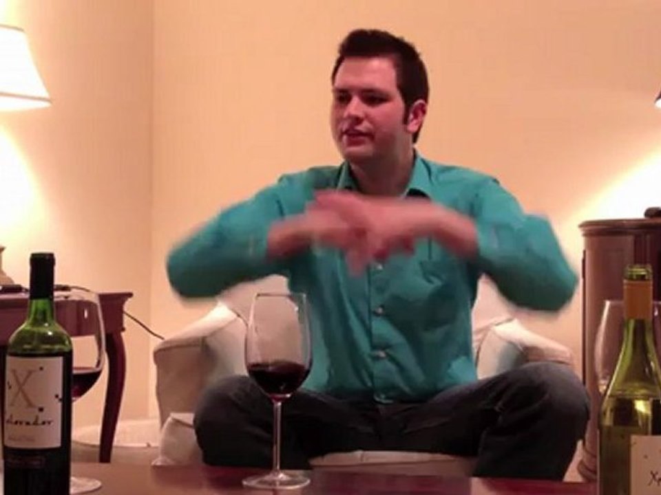 2010 Concha y Toro Xplorador Wines