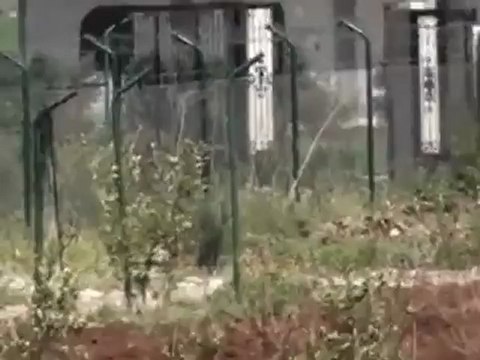 فري برس درعا الحراك اقتحام المدينة بالمدرعات 24 4 2012 Daraa